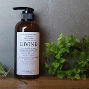 ディバインタイム トリートメント500ml