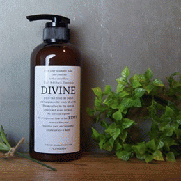 ディバインタイム トリートメント500ml